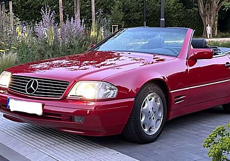 Mercedes-Benz SL 320 gebraucht kaufen Mercedes-Benz SL 320 Imperial-Rot (582)