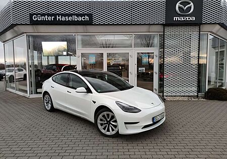 Tesla Model 3 RWD 19Zoll Standard Range Plus RWD + Winterreifen