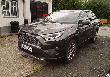 Toyota RAV 4 RAV4 Hybrid 4x4 Lounge