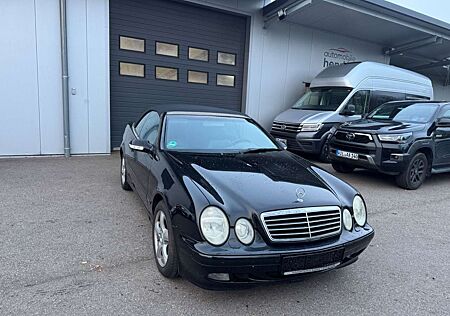 Mercedes-Benz CLK 230 Cabrio,Avantgarde,Final,Autom,Tüv10/2027