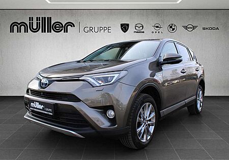 Toyota RAV 4 RAV4 Hybrid 2.5 4x2 Team Deutschland