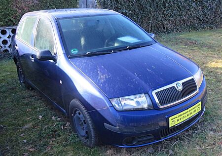 Skoda Fabia Cool Edition "Kein TÜV"