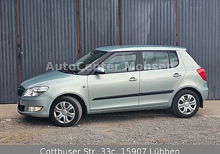 Skoda Fabia Ambition (Nr. 041)