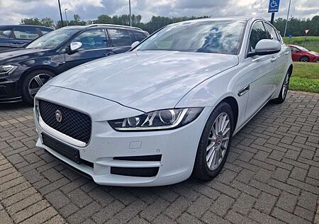 Jaguar XE LEDER NAVI BI-XENON