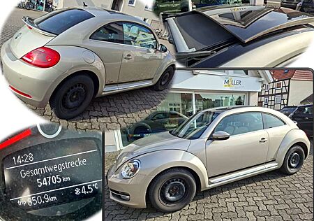 VW Beetle Volkswagen Cup
