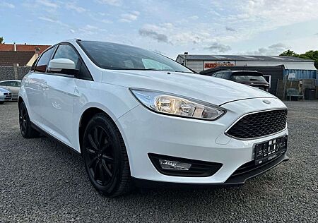 Ford Focus Business Navi Winter-Paket