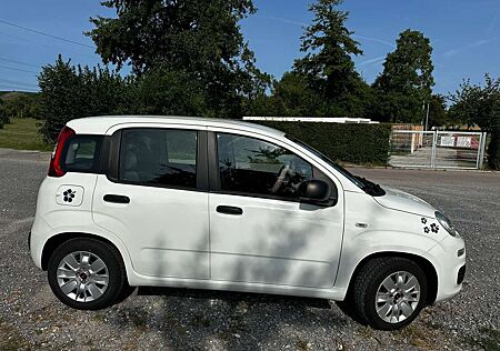 Fiat New Panda Serie 1 Easy 1.2 8V