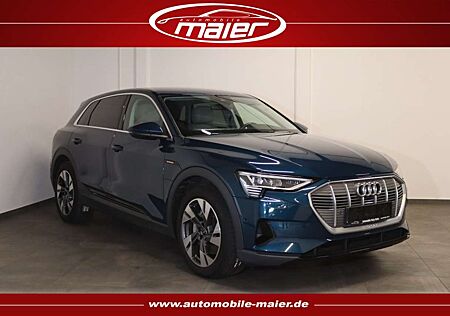 Audi e-tron 55 quattro-NAV-MATRIX-AHK-B&O-LEDER-LUFT-