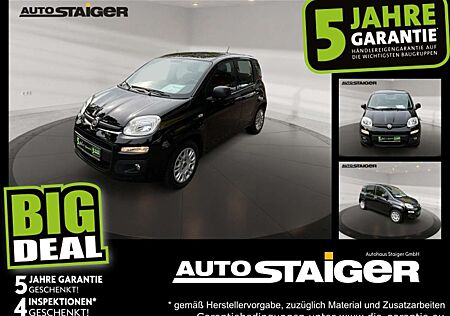 Fiat Panda 1.2 8V Easy Klima ele. Fenster PDC
