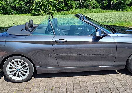 BMW 220d 220 Cabrio Aut.Luxury Line mit AHK