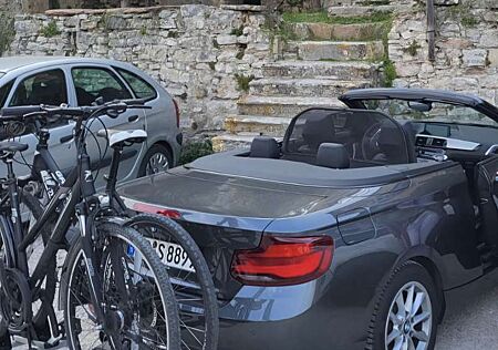 BMW 220d 220 Cabrio Aut.Luxury Line mit AHK