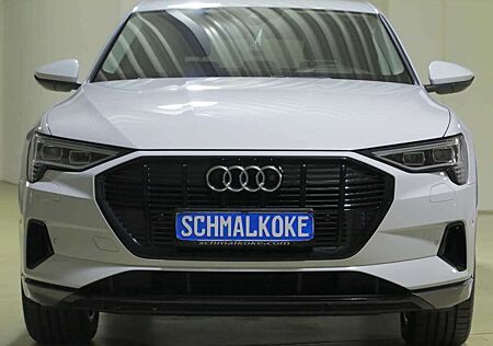 Audi e-tron 55 quattro advanced Navi DAB LM20