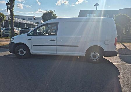VW Volkswagen Others Caddy Maxi Kasten EcoProfi BMT 1 Hand