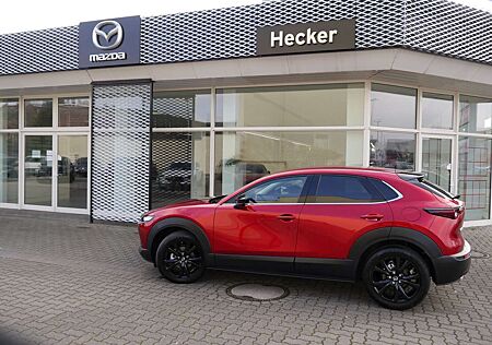 Mazda CX-30 e-SKYACTIVE G 122 EXCLUSIVE-LINE PREIS HAMMER