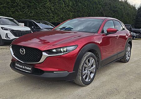 Mazda CX-30 2.5 e-SKYACTIV G140 AT Exclusive-Line