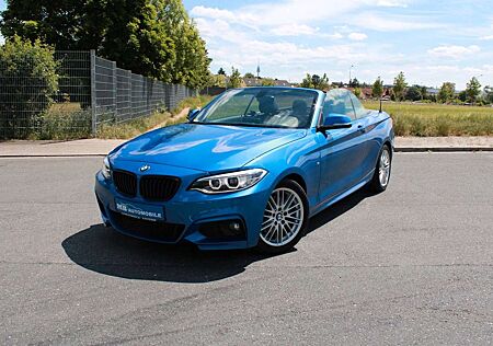 BMW 220 i Cabrio M-Sport Paket Tempo Xenon Leder