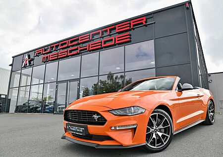 Ford Mustang Cabrio 2.3 EcoBoost 55-Paket* 4-Rohr*