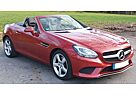 Mercedes-Benz SLK 200 SLC 200 SLC 200 - Hyazinthrot - Panorama - Leder