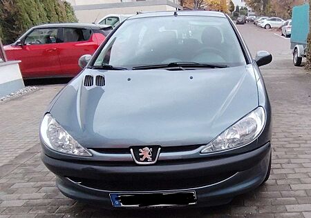 Peugeot 206 75 Petit Filou Cool
