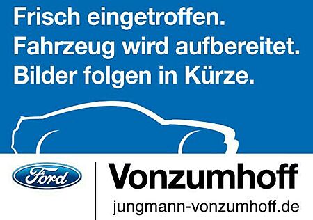 Ford Ranger 2,0 l EcoBlue Doppelkabine Autm. Wildtrak
