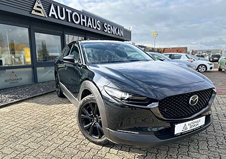 Mazda CX-3 gebraucht kaufen Mazda CX-3 0 Nagisa 2WD*BOSE*CARPLAY*ACC*NAVI*R-CAM*
