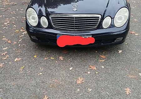 Mercedes-Benz 220 gebraucht kaufen Mercedes-Benz 220