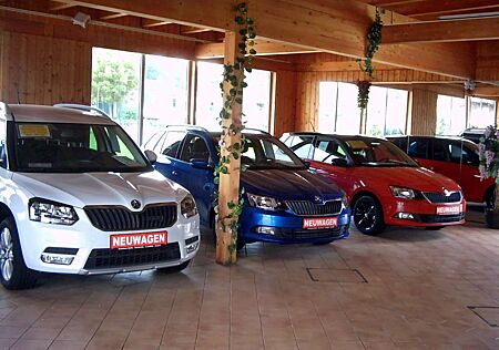 Skoda Yeti 1.8 TSI 4x4 Active Plus KLIMA NAVI AHK PDC
