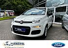 Fiat Panda Easy 1.2 8V 5-trg.el.Asp.Servo,Stadtflitzer,Gering