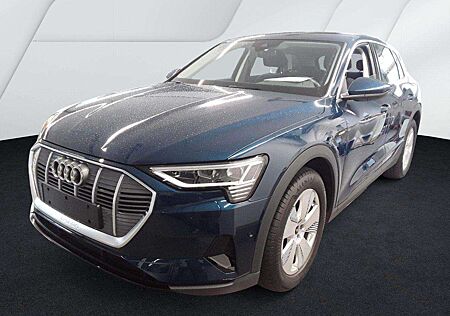 Audi e-tron 55 QUATTRO 19Z./DAB/KAMERA/AIR-SUS/NAV+