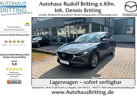 Mazda CX-30 Benzin 6GS 122PS Selection Navi PDC SHZ