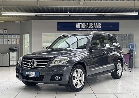 Mercedes-Benz GLK 220 CDI BlueEfficiency 4Matic AHK BiXenon