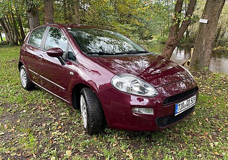 Fiat Punto EVO 5-Türer 1.2 8V Active Start