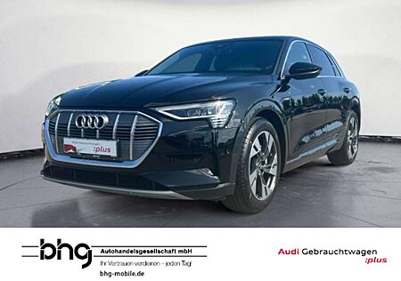 Audi e-tron 50 quattro advanced S-Line Pano Standklim