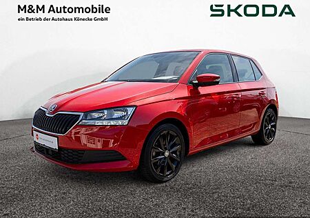 Skoda Fabia 1.0 TSI Ambition ALU KAMERA KLIMA DAB S
