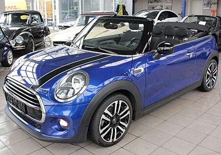 Mini Cooper Cabrio Teilleder