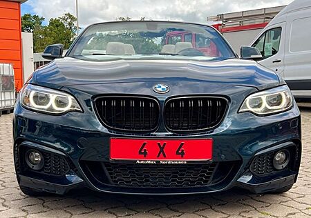 BMW 228i 228 xDrive Cabrio LED Navi Leder PDC Kamera