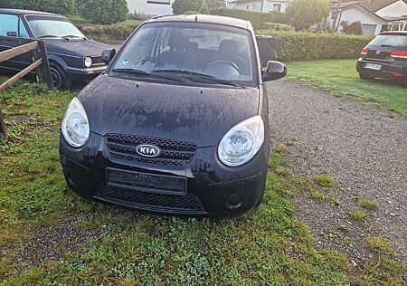 Kia Picanto 1.1 EX