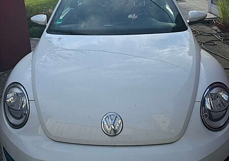 VW Beetle Volkswagen The 1.2 TSI BlueMotion Technologie Exclusive Desig