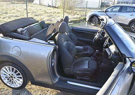 Mini Cooper Cabrio Cooper/AUTOMATIK/WINDSCHOTT/ALU/TEILLEDER/SAUBER