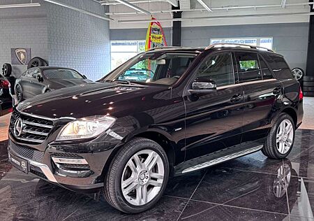 Mercedes-Benz ML 350 7G Sport-Paket Kamera Pano LED Tempo