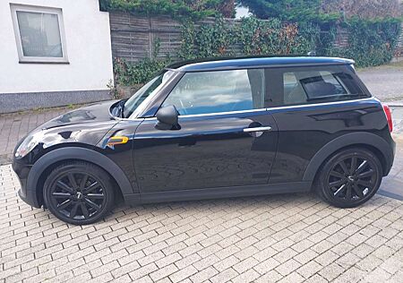 Mini ONE Blackyard