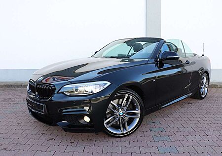 BMW 228 i CABRIO M-SPORT 8G-AUT.LEDER*NAVI*MEMORY*Bi-XENON