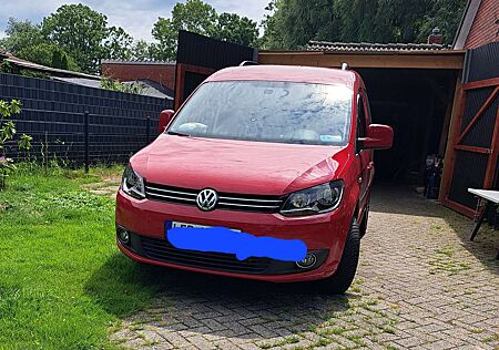 VW Caddy Volkswagen 1.9 TDI DPF DSG Life Team (5-Si.)