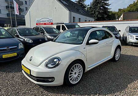 VW Beetle Volkswagen Design Sondermodell Fender, Panorama +Vollleder