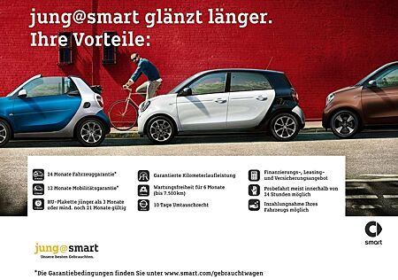 Smart ForTwo EQ passion *Navi*PDC*Winter-P.*AST*4,6 kW