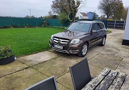 Mercedes-Benz GLK 220 CDI 4Matic (BlueEFFICIENCY) 7G-TRONIC