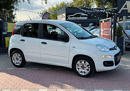 Fiat Panda Easy 1.2*Klima*Allwetter*Tüv+Service NEU*