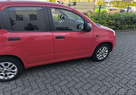 Fiat Panda 1.2 More