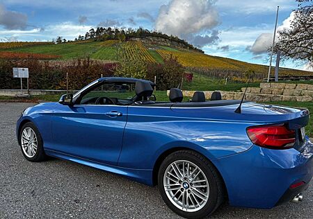 BMW 220i 220 Cabrio Aut. M Sport Leder Kurvenlicht Keyless