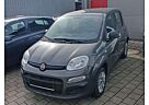 Fiat Panda Easy MIT AHK